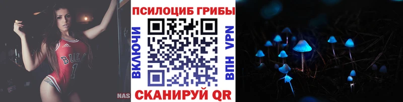 Галлюциногенные грибы Cubensis Дмитровск
