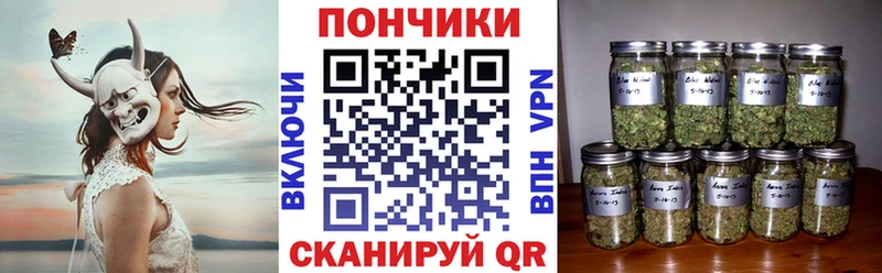 Марихуана план  MEGA зеркало  Дмитровск 